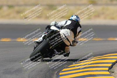 media/Oct-08-2022-SoCal Trackdays (Sat) [[1fc3beec89]]/Turn 11 Backside (1145am)/